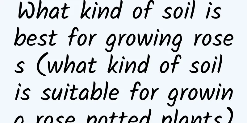 What kind of soil is best for growing roses (what kind of soil is suitable for growing rose potted plants)