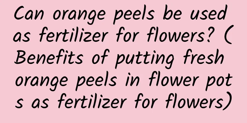 Can orange peels be used as fertilizer for flowers? (Benefits of putting fresh orange peels in flower pots as fertilizer for flowers)