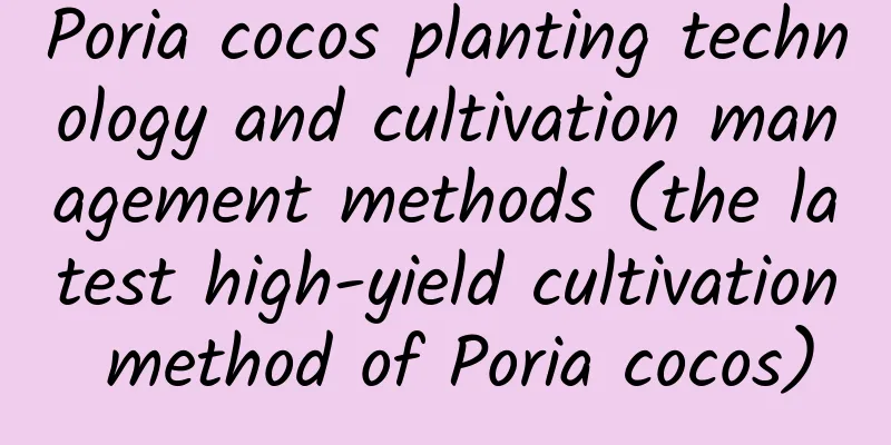 Poria cocos planting technology and cultivation management methods (the latest high-yield cultivation method of Poria cocos)