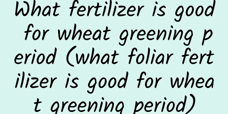 What fertilizer is good for wheat greening period (what foliar fertilizer is good for wheat greening period)