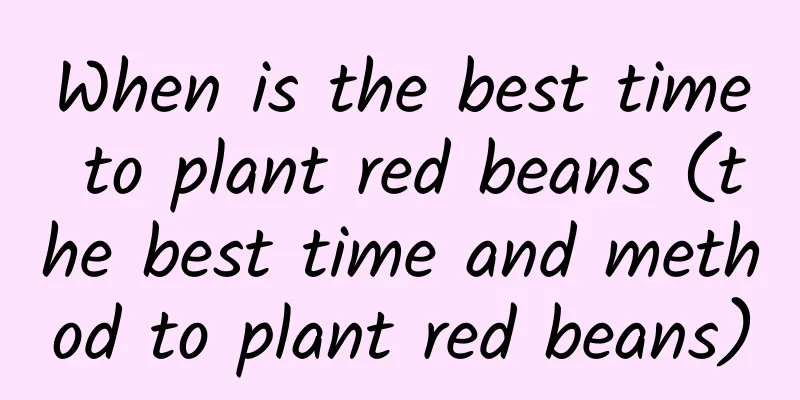 When is the best time to plant red beans (the best time and method to plant red beans)