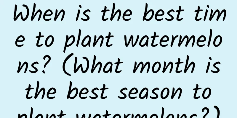 When is the best time to plant watermelons? (What month is the best season to plant watermelons?)