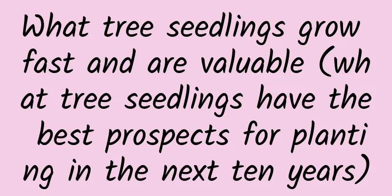 What tree seedlings grow fast and are valuable (what tree seedlings have the best prospects for planting in the next ten years)