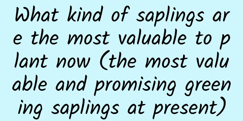 What kind of saplings are the most valuable to plant now (the most valuable and promising greening saplings at present)