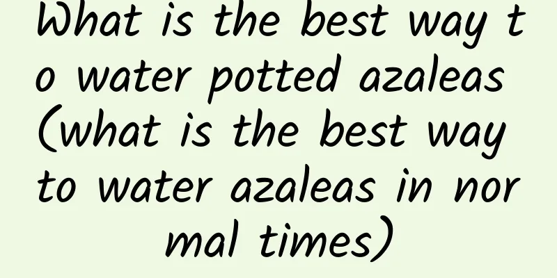 What is the best way to water potted azaleas (what is the best way to water azaleas in normal times)