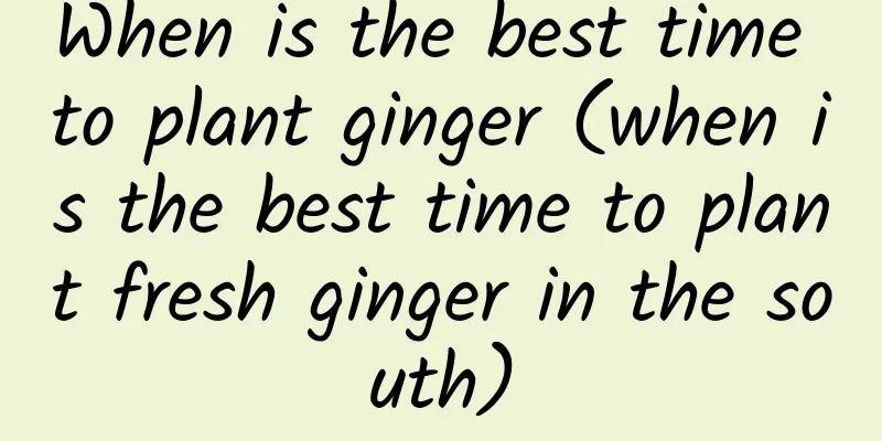 When is the best time to plant ginger (when is the best time to plant fresh ginger in the south)