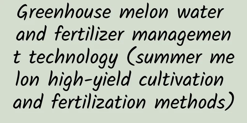Greenhouse melon water and fertilizer management technology (summer melon high-yield cultivation and fertilization methods)