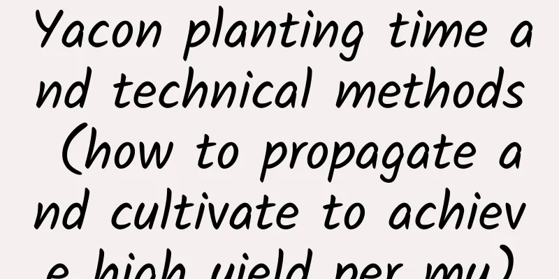 Yacon planting time and technical methods (how to propagate and cultivate to achieve high yield per mu)