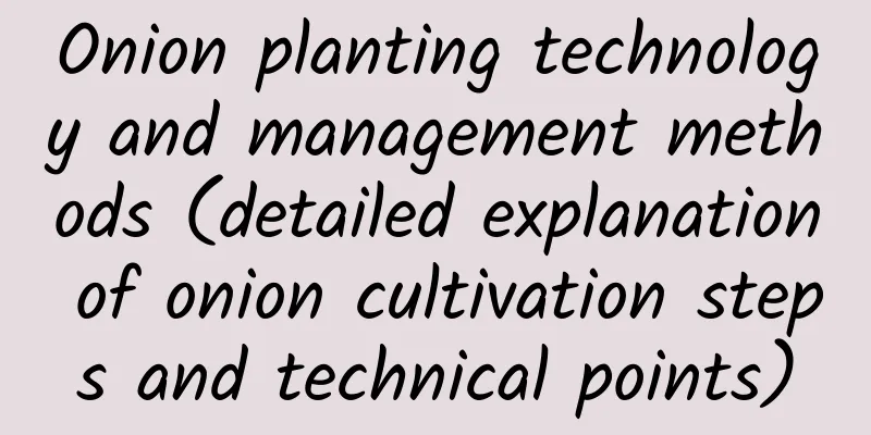 Onion planting technology and management methods (detailed explanation of onion cultivation steps and technical points)