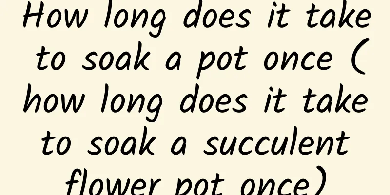 How long does it take to soak a pot once (how long does it take to soak a succulent flower pot once)