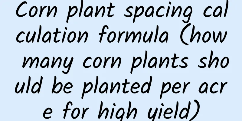 Corn plant spacing calculation formula (how many corn plants should be planted per acre for high yield)