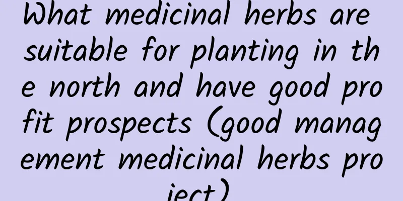 What medicinal herbs are suitable for planting in the north and have good profit prospects (good management medicinal herbs project)