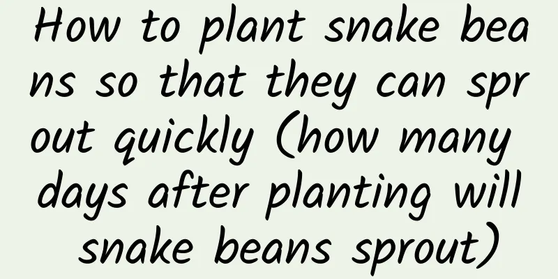 How to plant snake beans so that they can sprout quickly (how many days after planting will snake beans sprout)