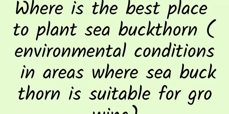 Where is the best place to plant sea buckthorn (environmental conditions in areas where sea buckthorn is suitable for growing)