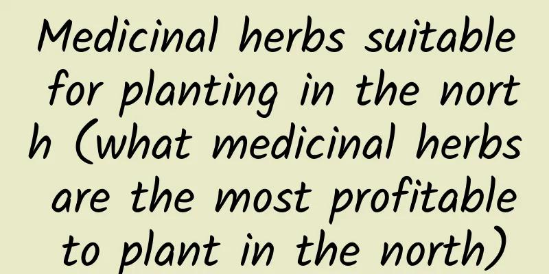 Medicinal herbs suitable for planting in the north (what medicinal herbs are the most profitable to plant in the north)