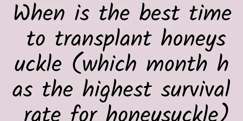 When is the best time to transplant honeysuckle (which month has the highest survival rate for honeysuckle)