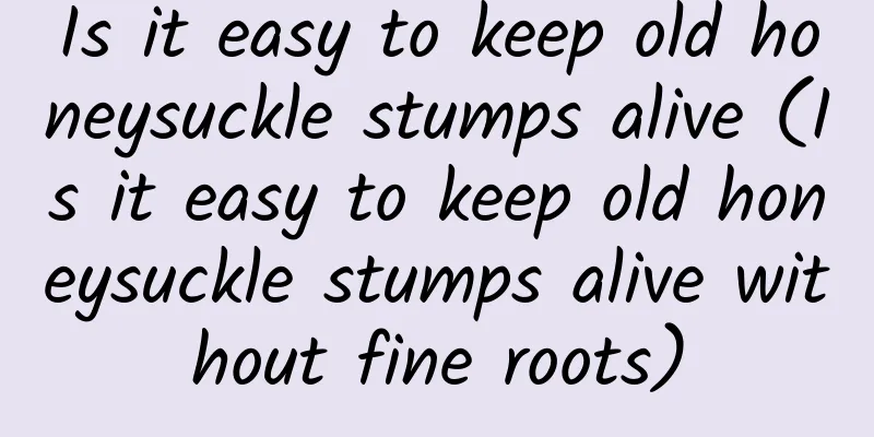 Is it easy to keep old honeysuckle stumps alive (Is it easy to keep old honeysuckle stumps alive without fine roots)