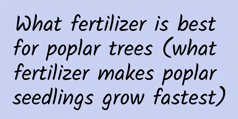 What fertilizer is best for poplar trees (what fertilizer makes poplar seedlings grow fastest)