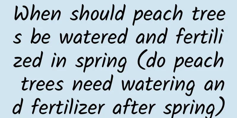 When should peach trees be watered and fertilized in spring (do peach trees need watering and fertilizer after spring)