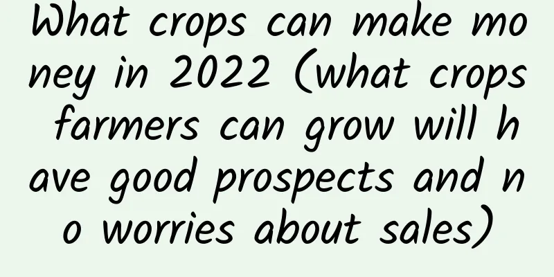 What crops can make money in 2022 (what crops farmers can grow will have good prospects and no worries about sales)