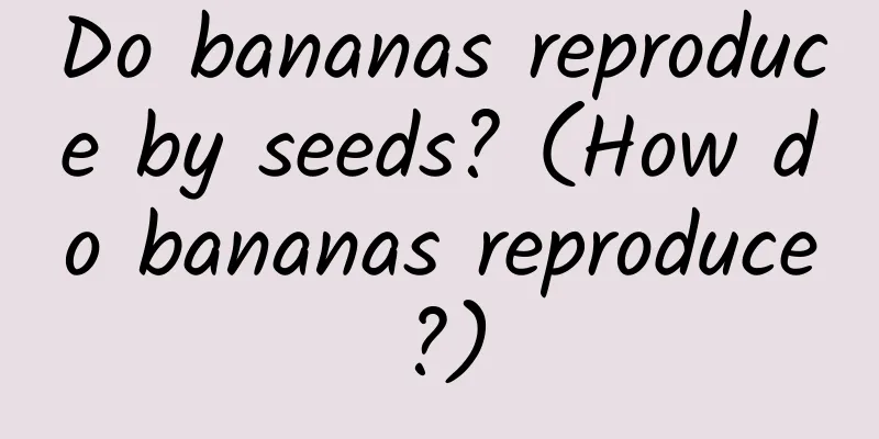 Do bananas reproduce by seeds? (How do bananas reproduce?)