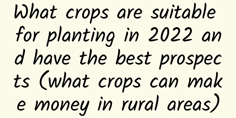 What crops are suitable for planting in 2022 and have the best prospects (what crops can make money in rural areas)