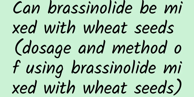Can brassinolide be mixed with wheat seeds (dosage and method of using brassinolide mixed with wheat seeds)