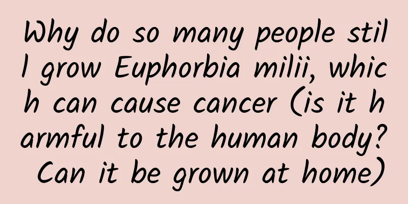 Why do so many people still grow Euphorbia milii, which can cause cancer (is it harmful to the human body? Can it be grown at home)