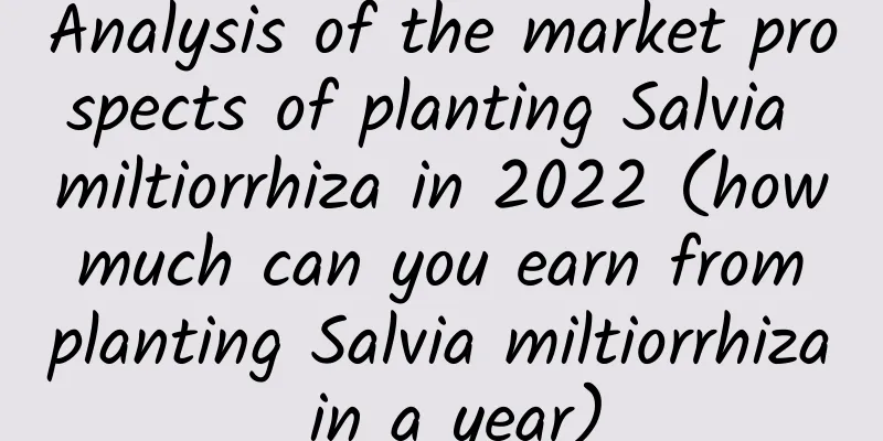 Analysis of the market prospects of planting Salvia miltiorrhiza in 2022 (how much can you earn from planting Salvia miltiorrhiza in a year)