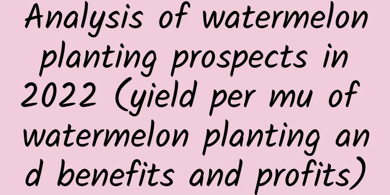 Analysis of watermelon planting prospects in 2022 (yield per mu of watermelon planting and benefits and profits)