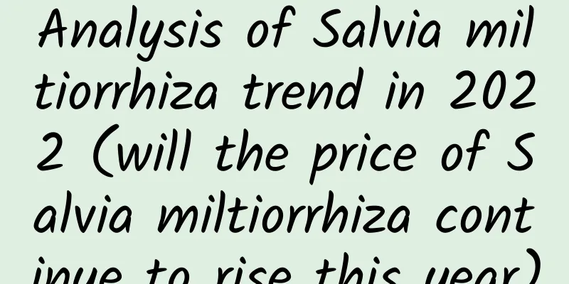 Analysis of Salvia miltiorrhiza trend in 2022 (will the price of Salvia miltiorrhiza continue to rise this year)