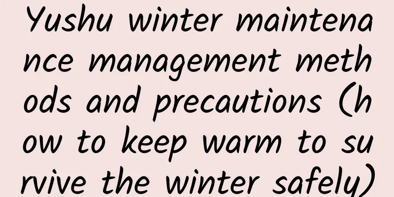 Yushu winter maintenance management methods and precautions (how to keep warm to survive the winter safely)