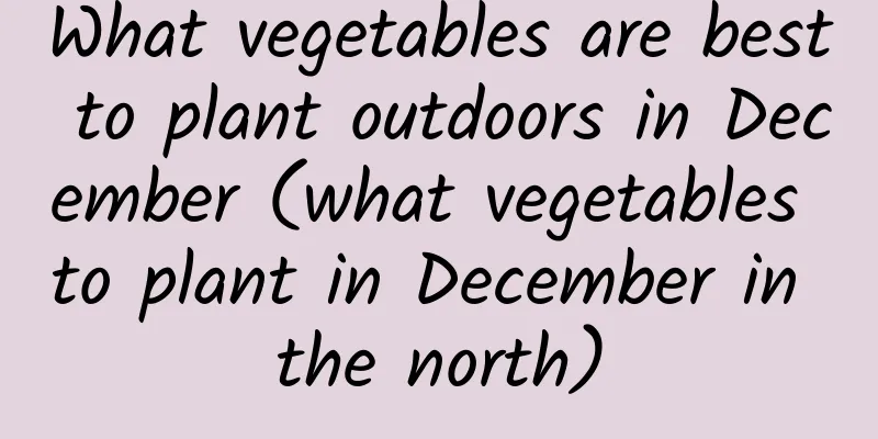 What vegetables are best to plant outdoors in December (what vegetables to plant in December in the north)