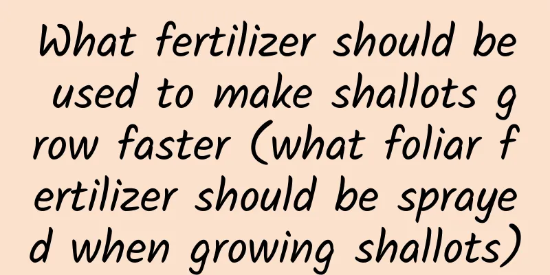 What fertilizer should be used to make shallots grow faster (what foliar fertilizer should be sprayed when growing shallots)