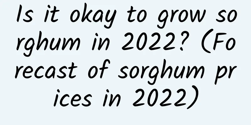 Is it okay to grow sorghum in 2022? (Forecast of sorghum prices in 2022)