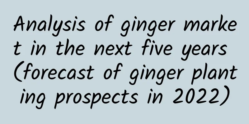 Analysis of ginger market in the next five years (forecast of ginger planting prospects in 2022)