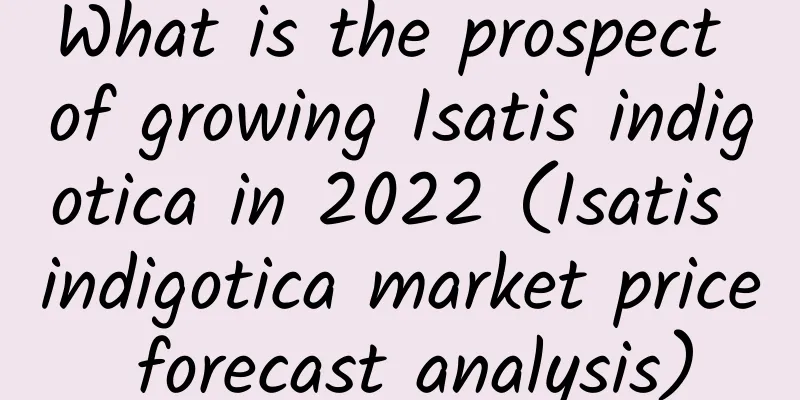 What is the prospect of growing Isatis indigotica in 2022 (Isatis indigotica market price forecast analysis)