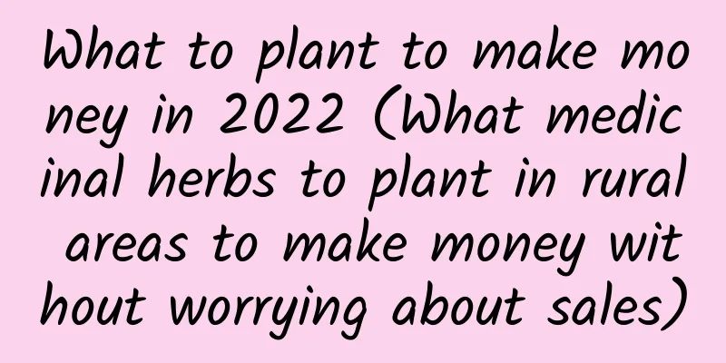 What to plant to make money in 2022 (What medicinal herbs to plant in rural areas to make money without worrying about sales)