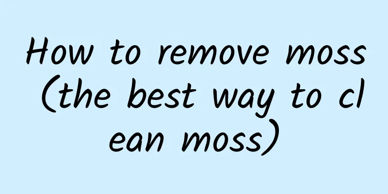 How to remove moss (the best way to clean moss)