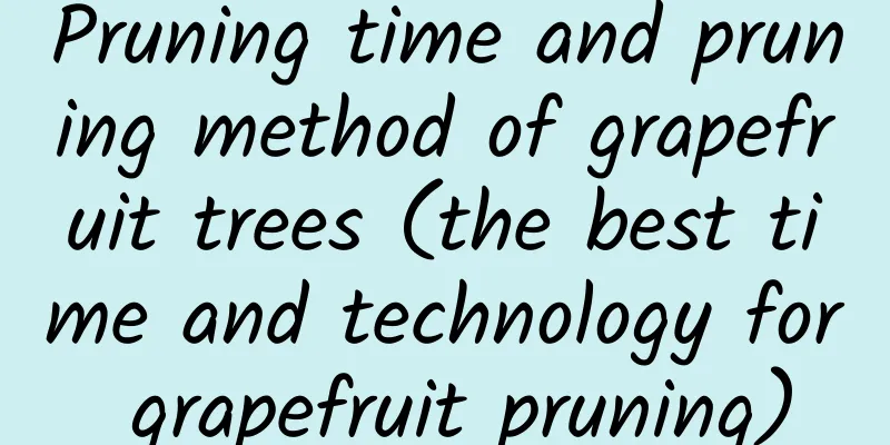 Pruning time and pruning method of grapefruit trees (the best time and technology for grapefruit pruning)
