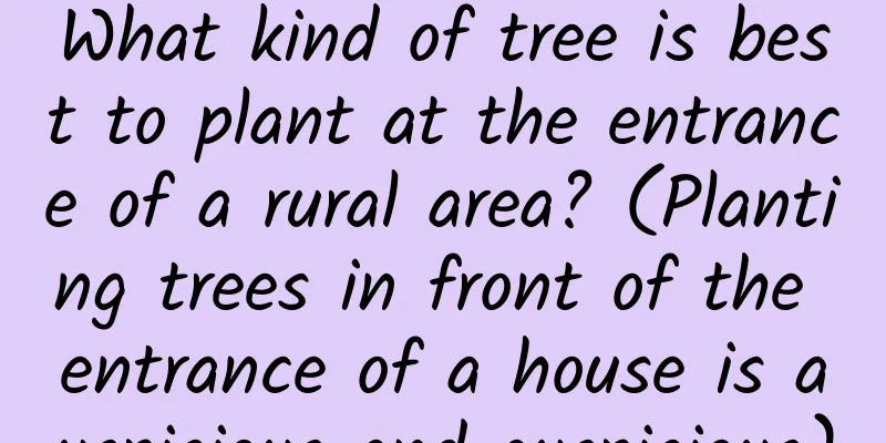 What kind of tree is best to plant at the entrance of a rural area? (Planting trees in front of the entrance of a house is auspicious and auspicious)