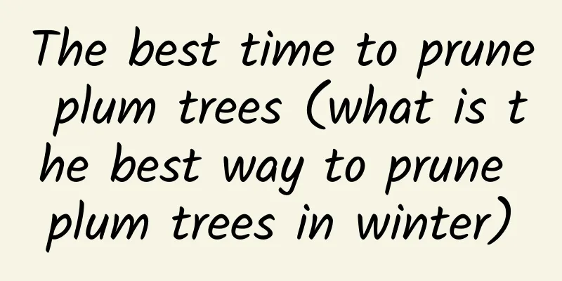 The best time to prune plum trees (what is the best way to prune plum trees in winter)