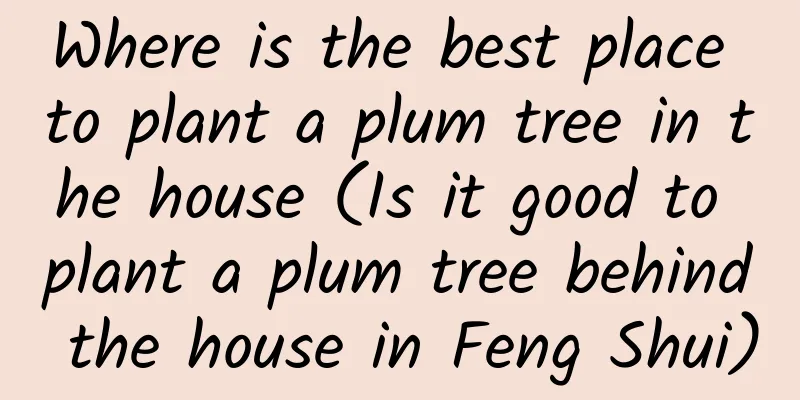 Where is the best place to plant a plum tree in the house (Is it good to plant a plum tree behind the house in Feng Shui)