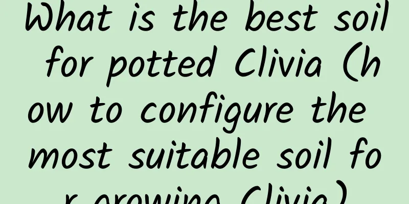 What is the best soil for potted Clivia (how to configure the most suitable soil for growing Clivia)