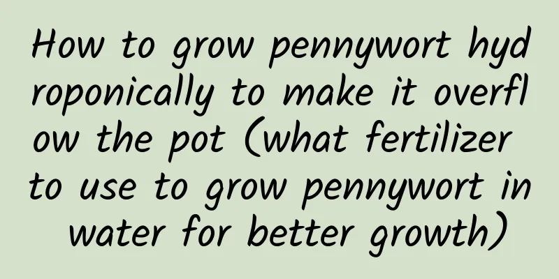 How to grow pennywort hydroponically to make it overflow the pot (what fertilizer to use to grow pennywort in water for better growth)