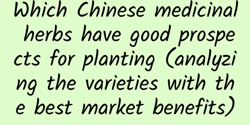 Which Chinese medicinal herbs have good prospects for planting (analyzing the varieties with the best market benefits)