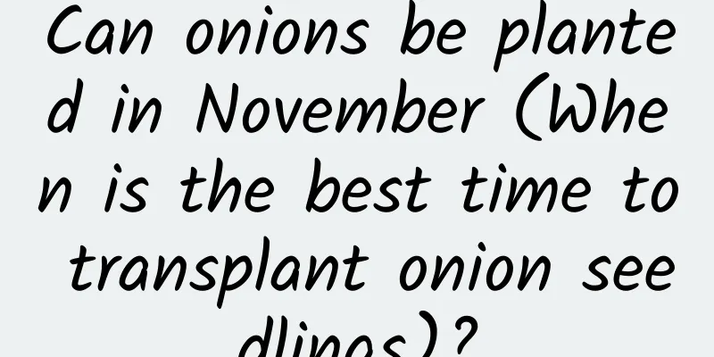 Can onions be planted in November (When is the best time to transplant onion seedlings)?