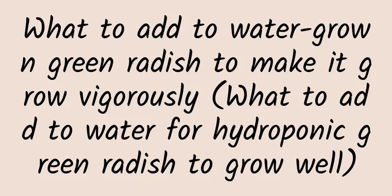 What to add to water-grown green radish to make it grow vigorously (What to add to water for hydroponic green radish to grow well)