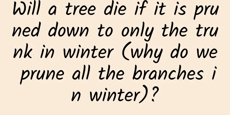 Will a tree die if it is pruned down to only the trunk in winter (why do we prune all the branches in winter)?