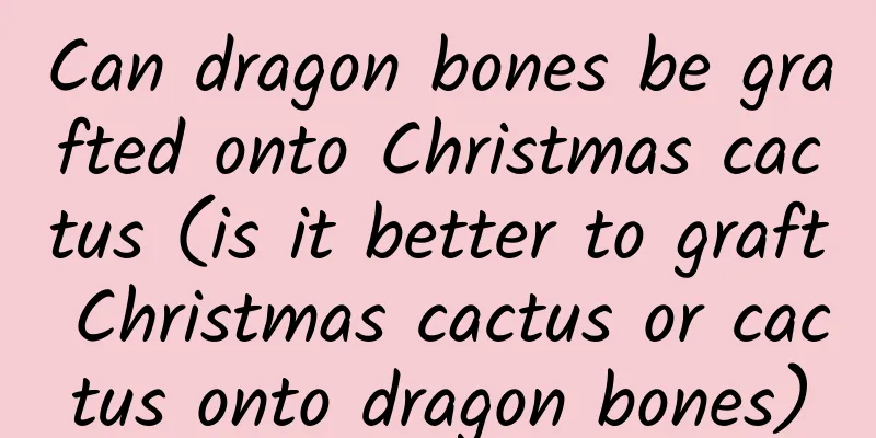 Can dragon bones be grafted onto Christmas cactus (is it better to graft Christmas cactus or cactus onto dragon bones)